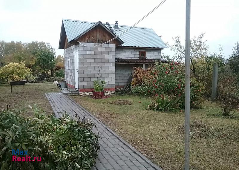 Касимов деревня Селизово частные дома