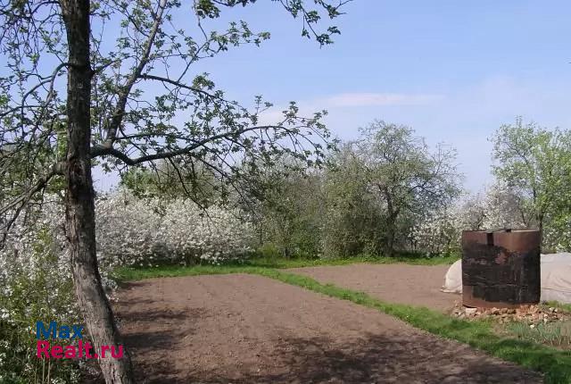 Касимов Касимовский район, село Пустынь