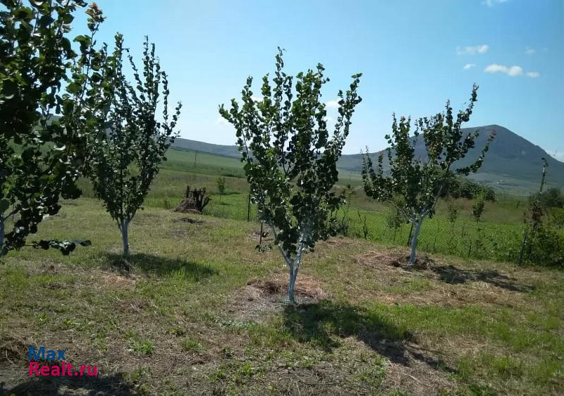 Железноводск хутор Быкогорка частные дома