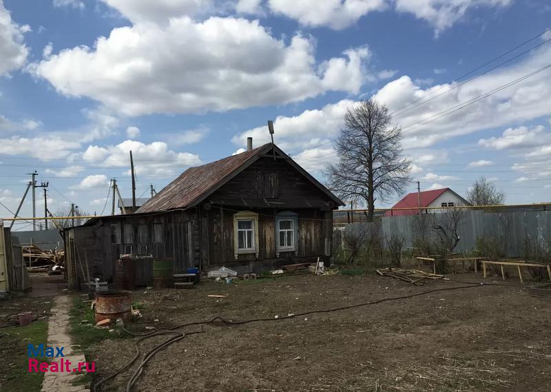 Заинск село Федотово