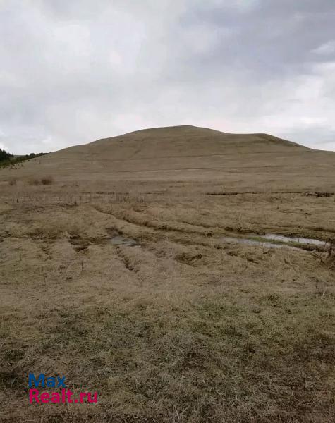 Заинск село Средний Багряж частные дома