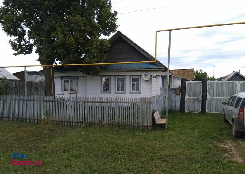 купить частный дом Заинск село Нижнее Бишево