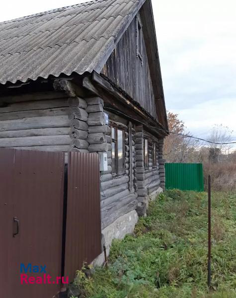 Заинск село Алексеевка