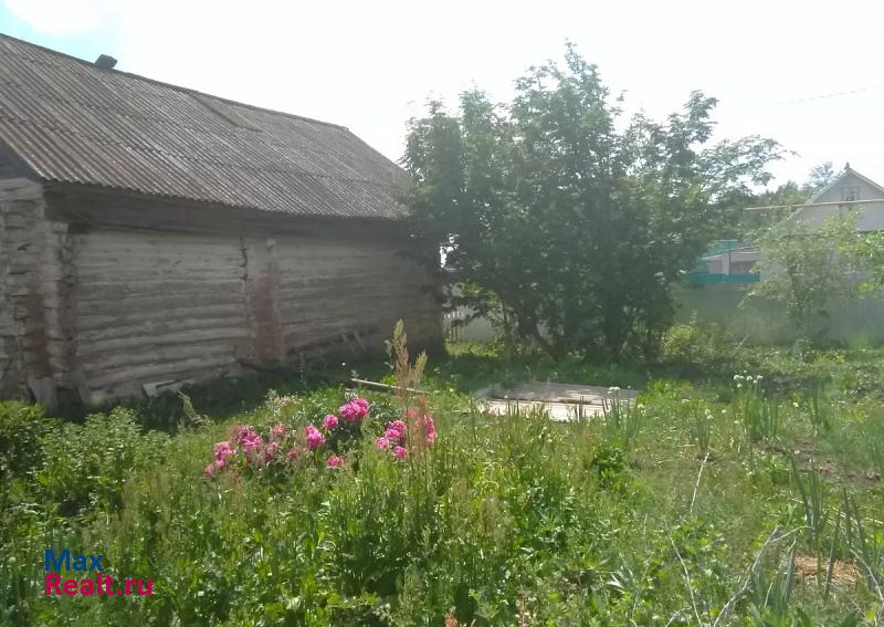 купить частный дом Заинск село Нижнее Бишево