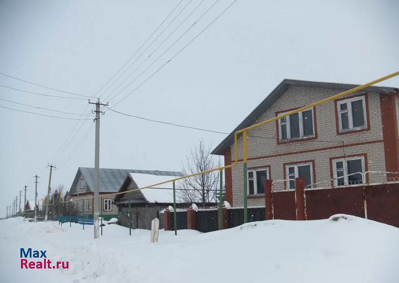 Заинск село Красная Кадка, улица Ленина, 21 частные дома