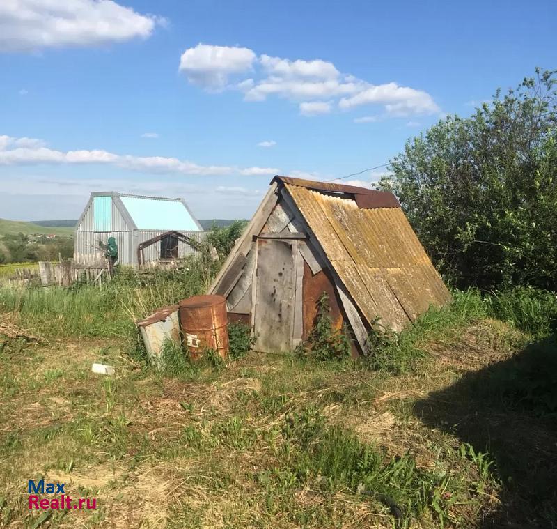 Заинск село Александровская Слобода продажа частного дома