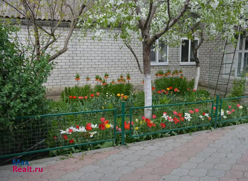 Зеленокумск улица Кирова, 188 частные дома