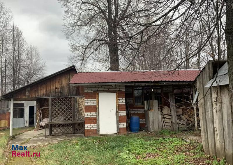 купить частный дом Чернушка село Рябки