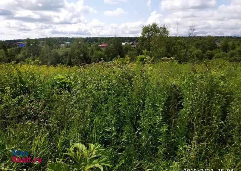 Чернушка село Деменево частные дома