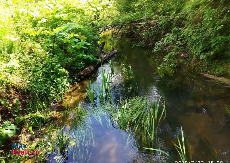 Чернушка село Деменево дом