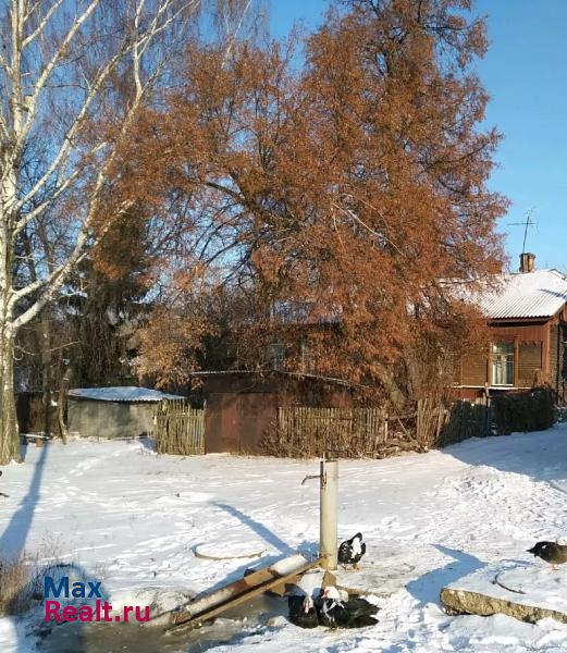 купить частный дом Скопин поселок городского типа Павелец, улица Возрождения, 89