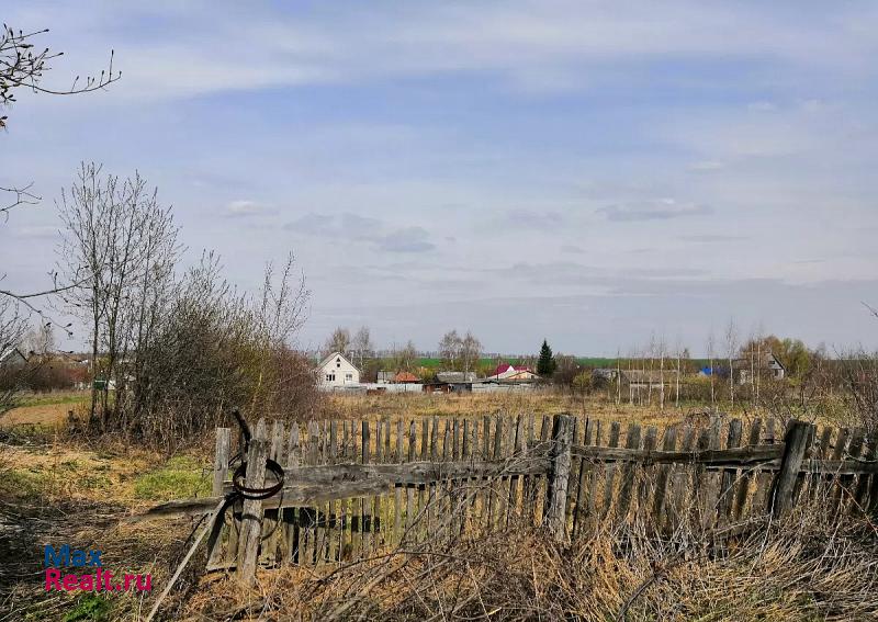 Скопин село Вослебово, Центральная улица частные дома