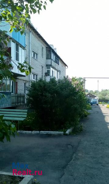 Совхозная улица, 9 Богородск квартира