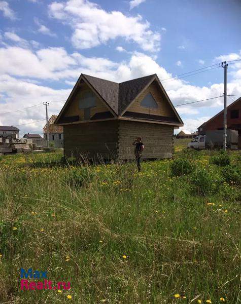 Богородск деревня Шумилово, улица Ларина