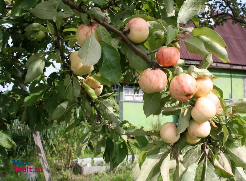 купить частный дом Волхов Волховский район, Кисельнинское сельское поселение, садоводческий массив Пупышево, Смольнинская дорога