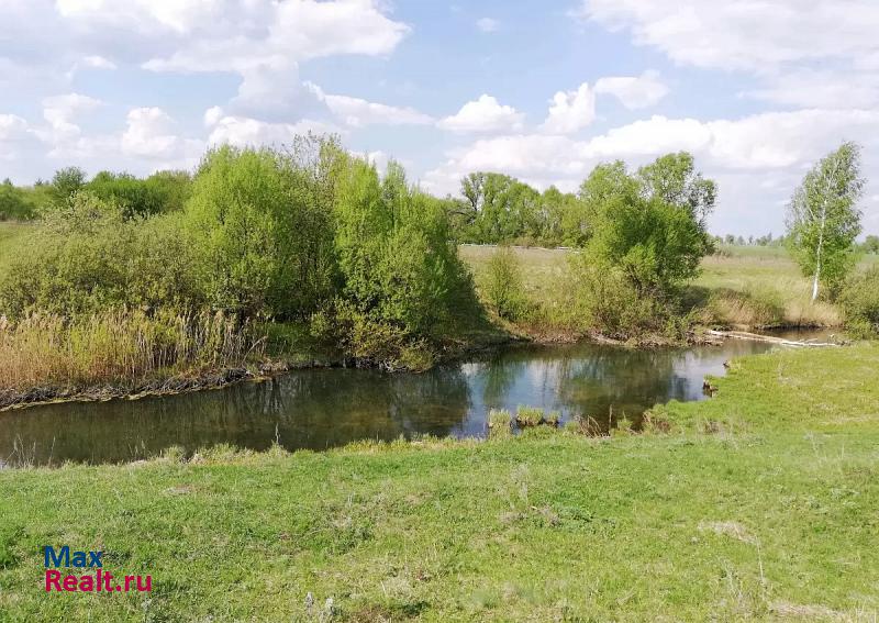 Рассказово село Верхнеспасское дом