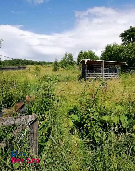 Луга Новгородская область, деревня Речка