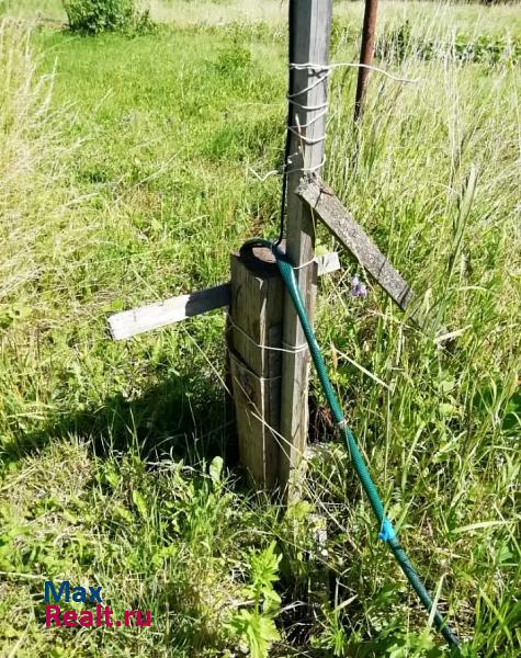 Луга Новгородская область, деревня Речка частные дома