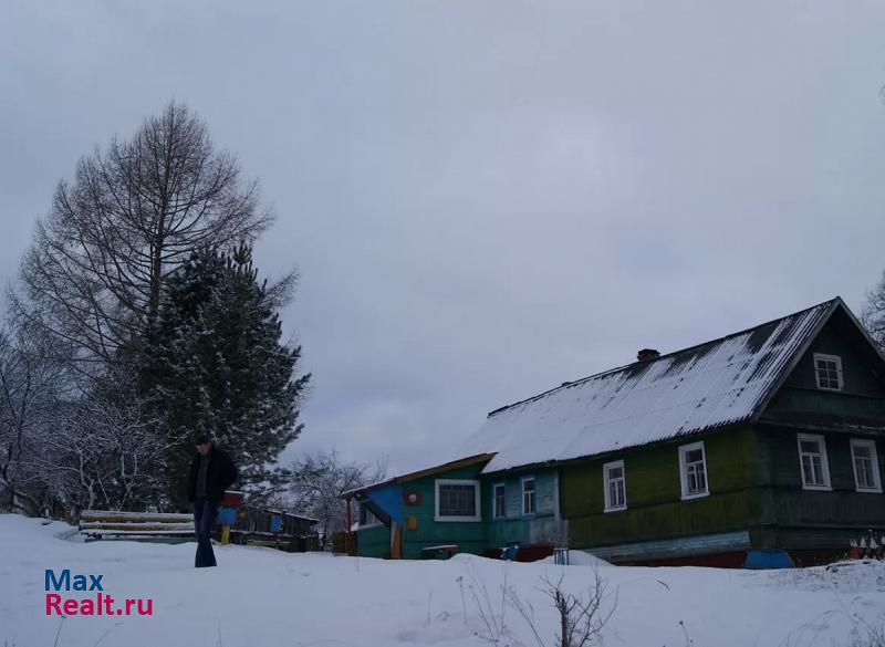 Луга Лужский район, деревня Домкино