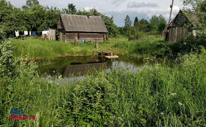 Луга Ретюнское сельское поселение, деревня Березицы частные дома