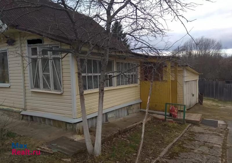 Луга Серебрянское сельское поселение, деревня Ильжо частные дома