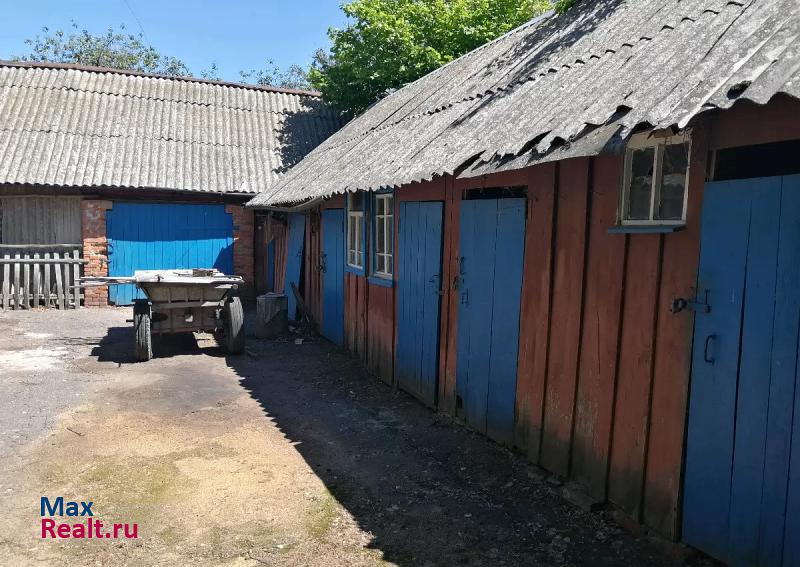 Новозыбков село Верещаки дом