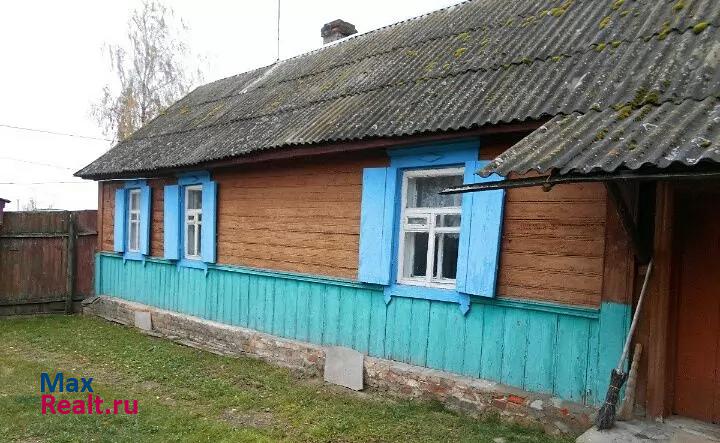 Новозыбков село Замишево, Новозыбковская улица, 50