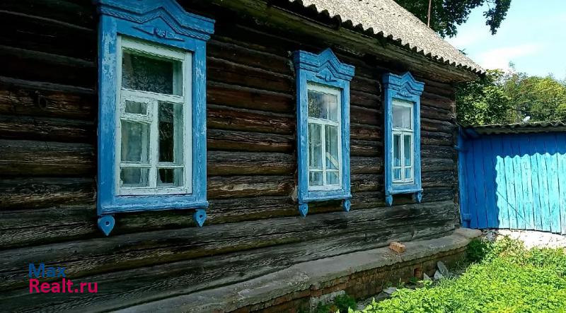 Новозыбков село Деменка частные дома