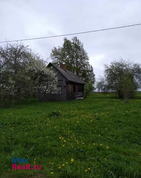 Гагарин Гагаринский район, деревня Козлаково частные дома