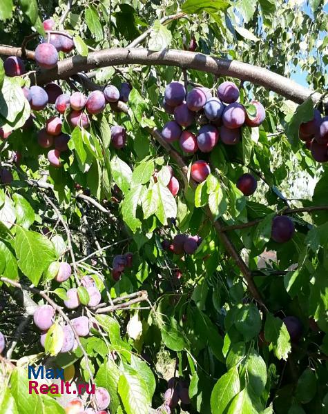 Луховицы городской округ Луховицы, село Городна, Центральная улица, 9 частные дома