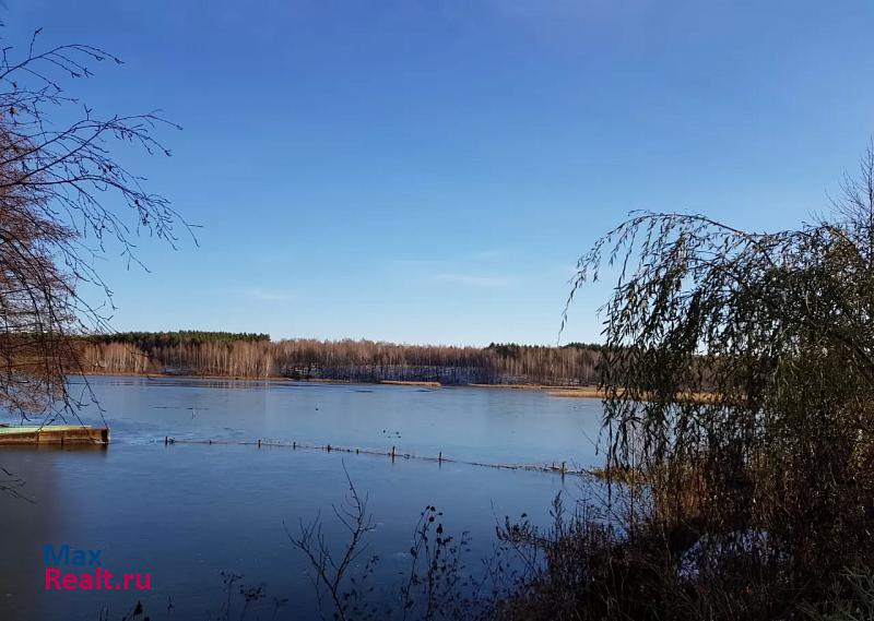 Моршанск деревня Новоалександровка, Колхозная улица дом купить