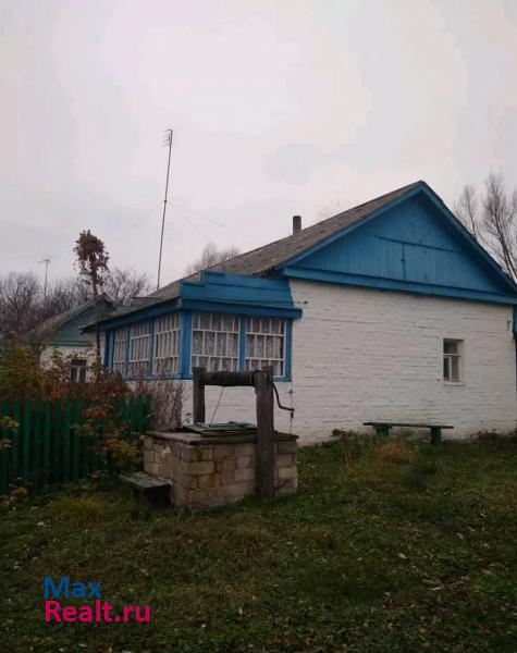 купить частный дом Моршанск деревня Новоалександровка