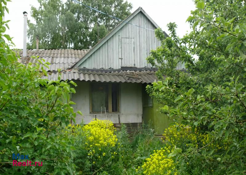 Рузаевка село Шишкеево, улица Мира, 10 продажа частного дома