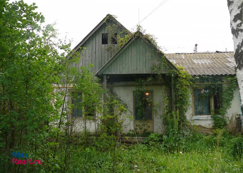 Рузаевка село Шишкеево, улица Мира, 10 дом