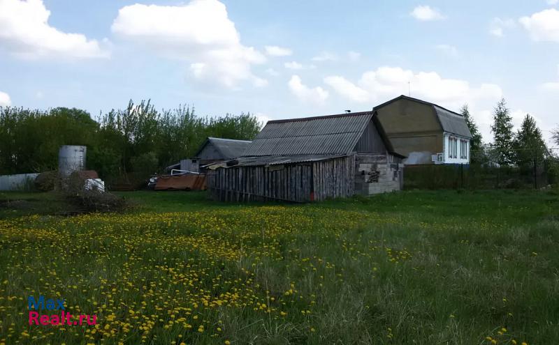 Рузаевка село Архангельское Голицыно, улица Луначарского