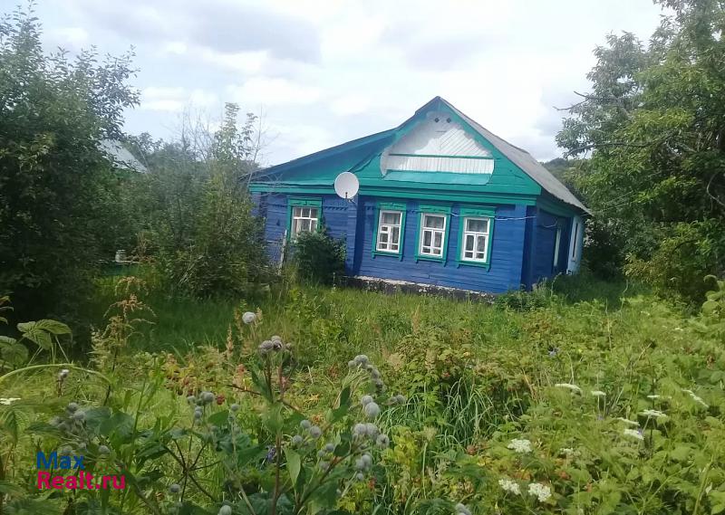Рузаевка село Татарская Пишля частные дома