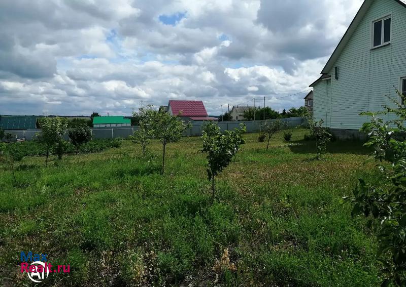 Рузаевка село Пайгарма, Цветочная улица, 5 дом купить