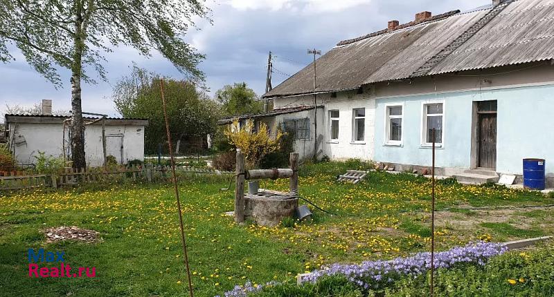 Черняховск поселок, Черняховский городской округ, Капустино