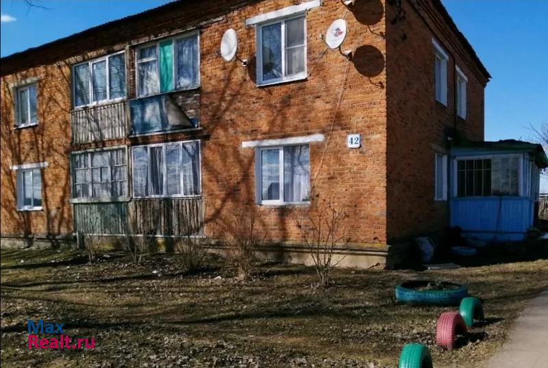 деревня Шишково, 42 Волоколамск купить квартиру