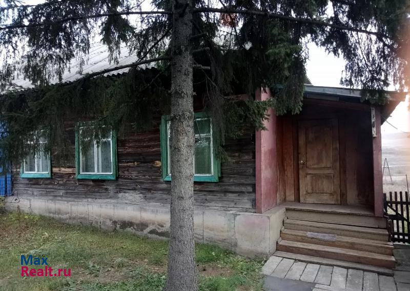 Киселевск село Терентьевское, Береговая улица частные дома