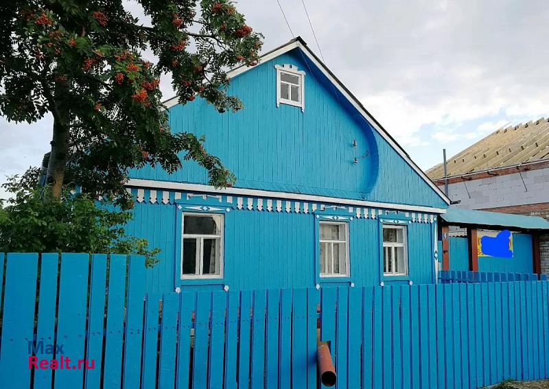Южноуральск село Кичигино, Пионерская улица частные дома