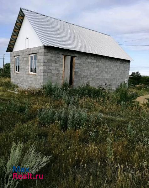 Южноуральск деревня Луговая, Советская улица частные дома