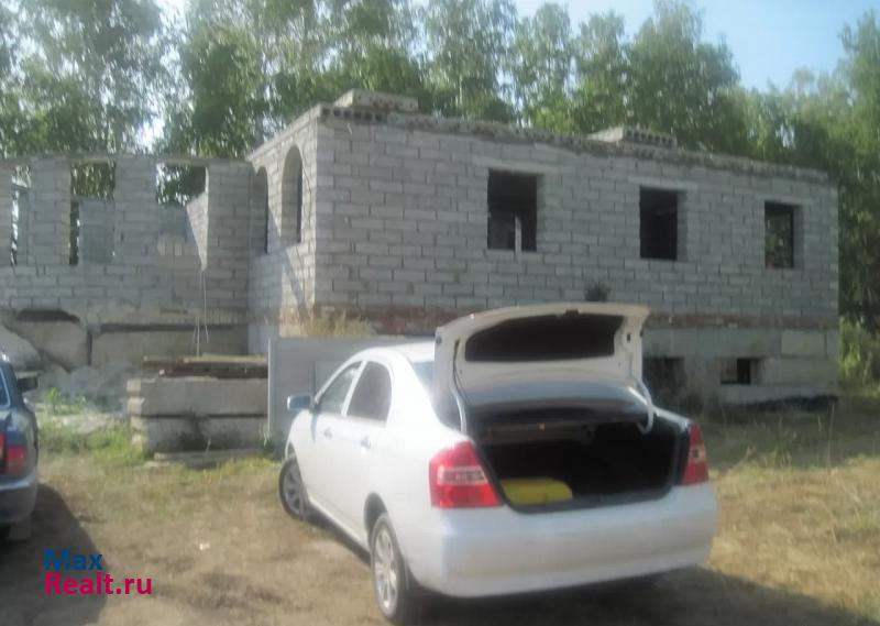 Южноуральск посёлок Лесное продажа частного дома
