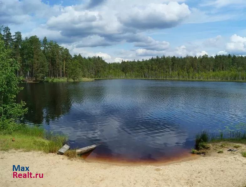 Балахна деревня Конево дом купить