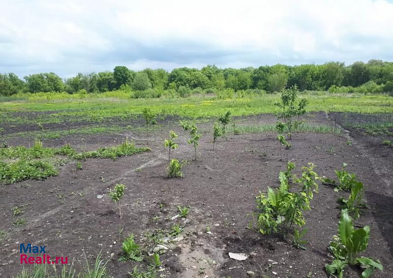 Шебекино село Чураево дом купить