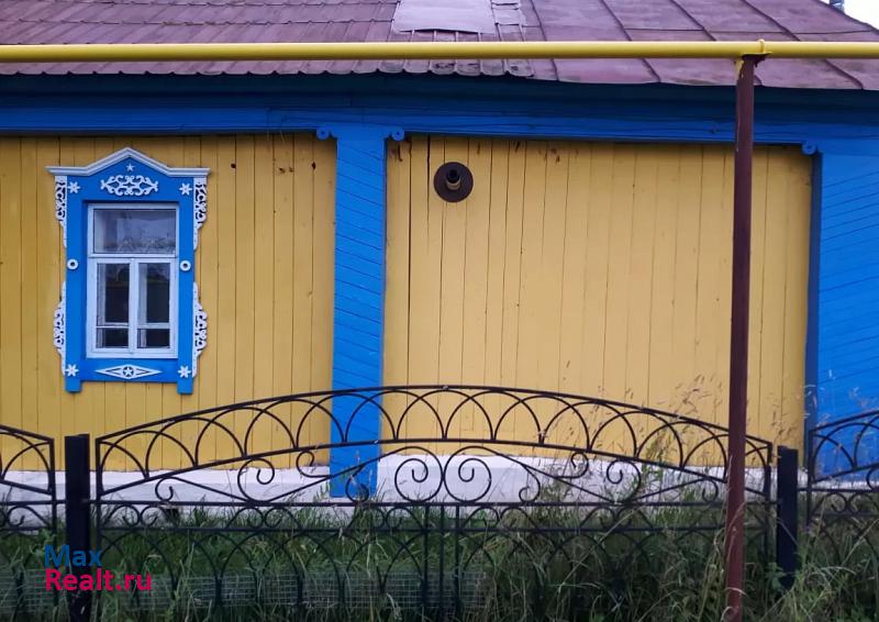 Чистополь село Камский Леспромхоз, улица Москвина, 15 продажа частного дома