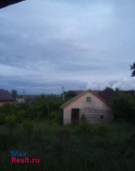 Чистополь село Сотово