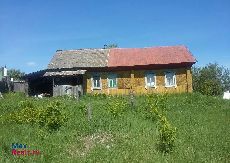 Чистополь село Сотово продажа частного дома
