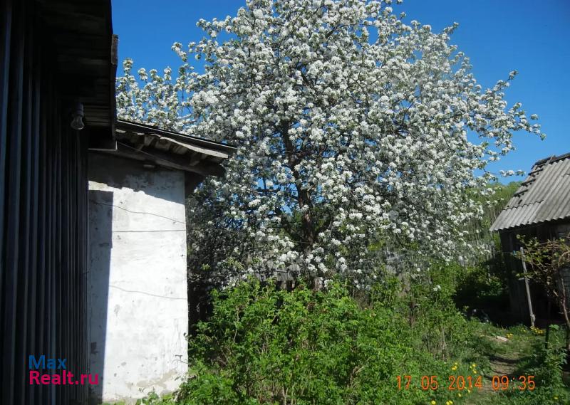 Чистополь Берсут, Сотово частные дома
