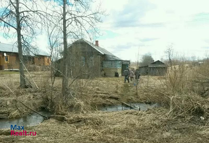 Переславль-Залесский деревня Горохово